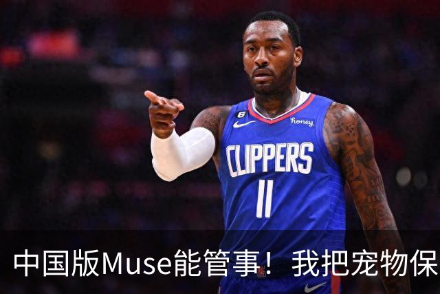中国版Muse能管事！我把宠物保单、双11算价和周末旅行全交给了灵光2.0