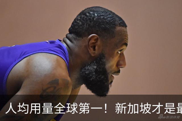 人均用量全球第一！新加坡才是最爱用Claude的国家