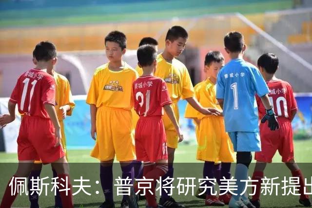 佩斯科夫：普京将研究美方新提出的乌克兰问题解决方案