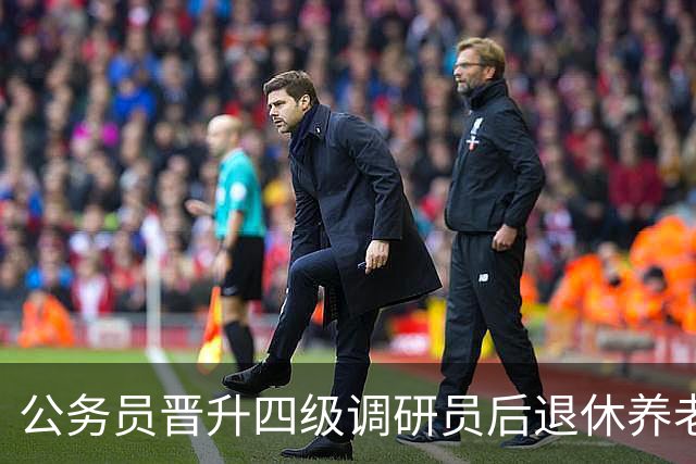 公务员晋升四级调研员后退休养老金大概能多领多少？