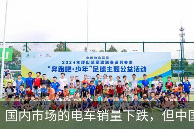 国内市场的电车销量下跌，但中国车圈新恒大可能先在海外爆发