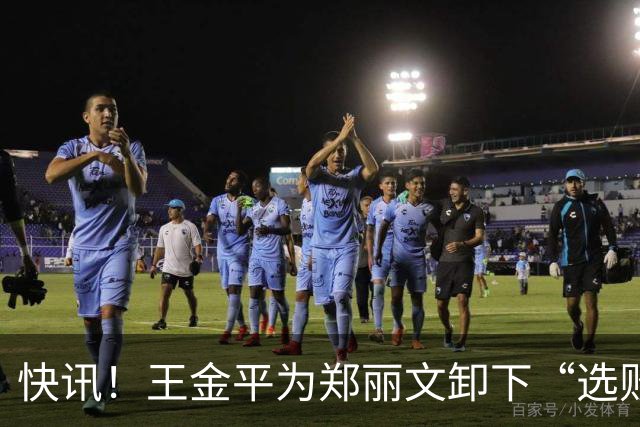 快讯！王金平为郑丽文卸下“选败即辞”的包袱！