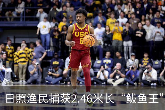 日照渔民捕获2.46米长“鲅鱼王”，重达268斤，当地一水饺厂老板花数万元买下：原想做成鲅鱼水饺，改了主意想把它做成标本