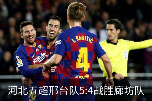 河北五超邢台队5:4战胜廊坊队