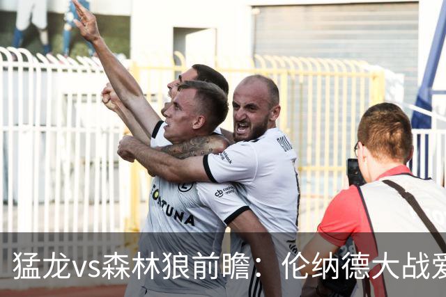 猛龙vs森林狼前瞻：伦纳德大战爱德华兹，一场不同风格的强硬对决
