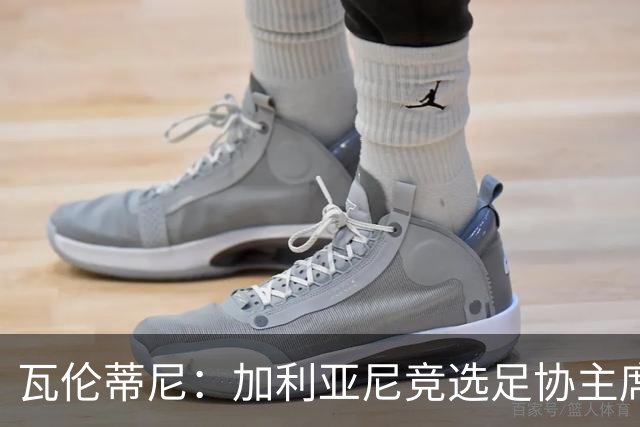瓦伦蒂尼：加利亚尼竞选足协主席，意甲内部存在分裂
